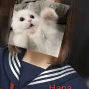 ヒメ日記 2025/04/06 14:17 投稿 はな カリビアン