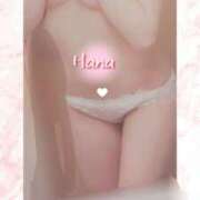 ヒメ日記 2025/04/21 15:18 投稿 はな カリビアン