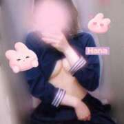 ヒメ日記 2025/04/24 16:17 投稿 はな カリビアン