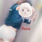 ヒメ日記 2025/05/03 16:17 投稿 はな カリビアン