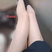 ヒメ日記 2025/05/18 14:18 投稿 はな カリビアン