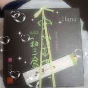 ヒメ日記 2025/06/15 20:16 投稿 はな カリビアン