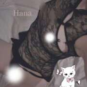 ヒメ日記 2025/06/20 13:04 投稿 はな カリビアン