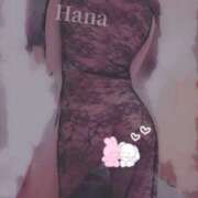 ヒメ日記 2025/06/30 18:56 投稿 はな カリビアン