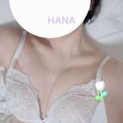 ヒメ日記 2025/07/30 10:51 投稿 はな カリビアン