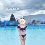 ヒメ日記 2025/08/20 13:09 投稿 はな カリビアン