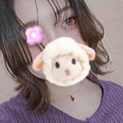 ヒメ日記 2025/09/02 09:52 投稿 はな カリビアン