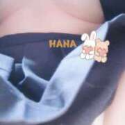 ヒメ日記 2025/09/06 09:53 投稿 はな カリビアン