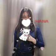 ヒメ日記 2025/09/11 15:23 投稿 はな カリビアン