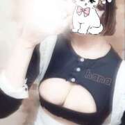 ヒメ日記 2025/09/19 01:28 投稿 はな カリビアン