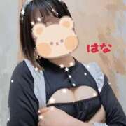 ヒメ日記 2025/09/29 23:28 投稿 はな カリビアン