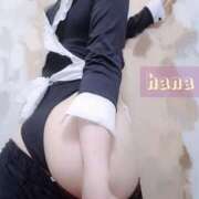 ヒメ日記 2025/10/03 00:48 投稿 はな カリビアン