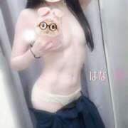 ヒメ日記 2025/11/14 15:03 投稿 はな カリビアン