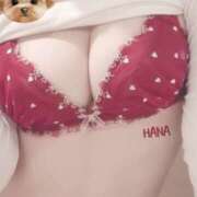 ヒメ日記 2026/02/13 16:10 投稿 はな カリビアン