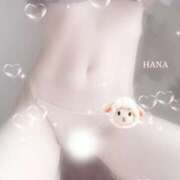 ヒメ日記 2026/03/21 04:35 投稿 はな カリビアン