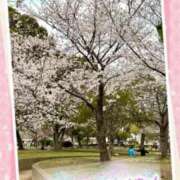 ヒメ日記 2025/04/06 20:42 投稿 みのり 熟女総本店 日本橋ミナミエリア店