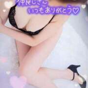 ヒメ日記 2025/05/01 08:36 投稿 みのり 熟女総本店 日本橋ミナミエリア店