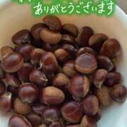 ヒメ日記 2025/11/28 19:26 投稿 みのり 熟女総本店 日本橋ミナミエリア店