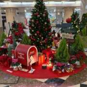 ヒメ日記 2025/12/24 21:26 投稿 みのり 熟女総本店 日本橋ミナミエリア店