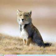 ヒメ日記 2025/04/14 14:54 投稿 成海 HERMINE-エルミネ-