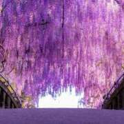 ヒメ日記 2025/04/28 16:55 投稿 成海 HERMINE-エルミネ-