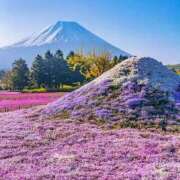 ヒメ日記 2025/05/24 18:40 投稿 成海 HERMINE-エルミネ-