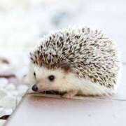 ヒメ日記 2025/05/31 21:21 投稿 成海 HERMINE-エルミネ-