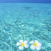 ヒメ日記 2025/08/04 11:20 投稿 成海 HERMINE-エルミネ-