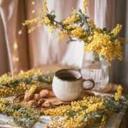 ヒメ日記 2025/09/28 19:43 投稿 成海 HERMINE-エルミネ-