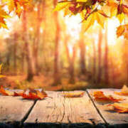 ヒメ日記 2025/09/30 20:37 投稿 成海 HERMINE-エルミネ-