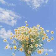 ヒメ日記 2025/10/25 17:58 投稿 成海 HERMINE-エルミネ-