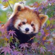 ヒメ日記 2025/11/01 17:49 投稿 成海 HERMINE-エルミネ-