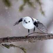 ヒメ日記 2025/11/11 19:55 投稿 成海 HERMINE-エルミネ-