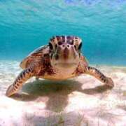 ヒメ日記 2025/11/19 19:43 投稿 成海 HERMINE-エルミネ-