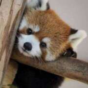 ヒメ日記 2025/11/25 19:47 投稿 成海 HERMINE-エルミネ-