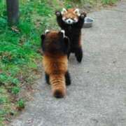 ヒメ日記 2025/12/03 17:38 投稿 成海 HERMINE-エルミネ-