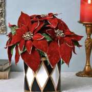 成海 Re: こんばんは🌙 HERMINE-エルミネ-