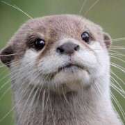 ヒメ日記 2025/12/18 18:11 投稿 成海 HERMINE-エルミネ-