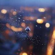 ヒメ日記 2025/12/20 19:58 投稿 成海 HERMINE-エルミネ-