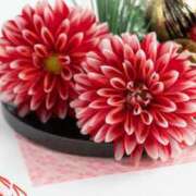 ヒメ日記 2026/01/04 05:13 投稿 成海 HERMINE-エルミネ-