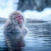 ヒメ日記 2026/01/21 17:27 投稿 成海 HERMINE-エルミネ-