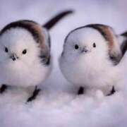 成海 Re: 千葉ルーム✨ HERMINE-エルミネ-