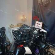 ヒメ日記 2025/12/15 19:45 投稿 蛇喰ならく＠征服欲で絞め落とす アナラードライ