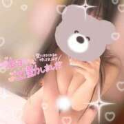 ヒメ日記 2024/12/13 08:51 投稿 リサ バニーコレクション新潟店