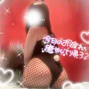 ヒメ日記 2024/12/16 17:31 投稿 リサ バニーコレクション新潟店