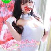 ヒメ日記 2025/01/29 11:45 投稿 リサ バニーコレクション新潟店