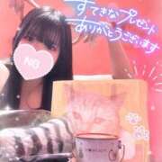 ヒメ日記 2025/02/02 14:42 投稿 リサ バニーコレクション新潟店