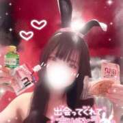 ヒメ日記 2025/04/17 14:45 投稿 リサ バニーコレクション新潟店