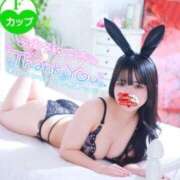 ヒメ日記 2025/04/19 11:45 投稿 リサ バニーコレクション新潟店