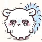 ヒメ日記 2025/06/11 19:02 投稿 リサ バニーコレクション新潟店